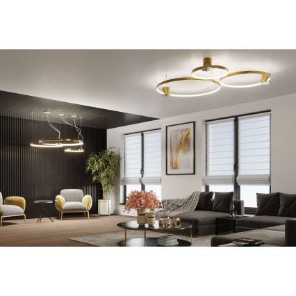 Thoro TH.252 - LED Плафониера RIO LED/50W/230V CRI 90 3000K Ø 78 cm златист