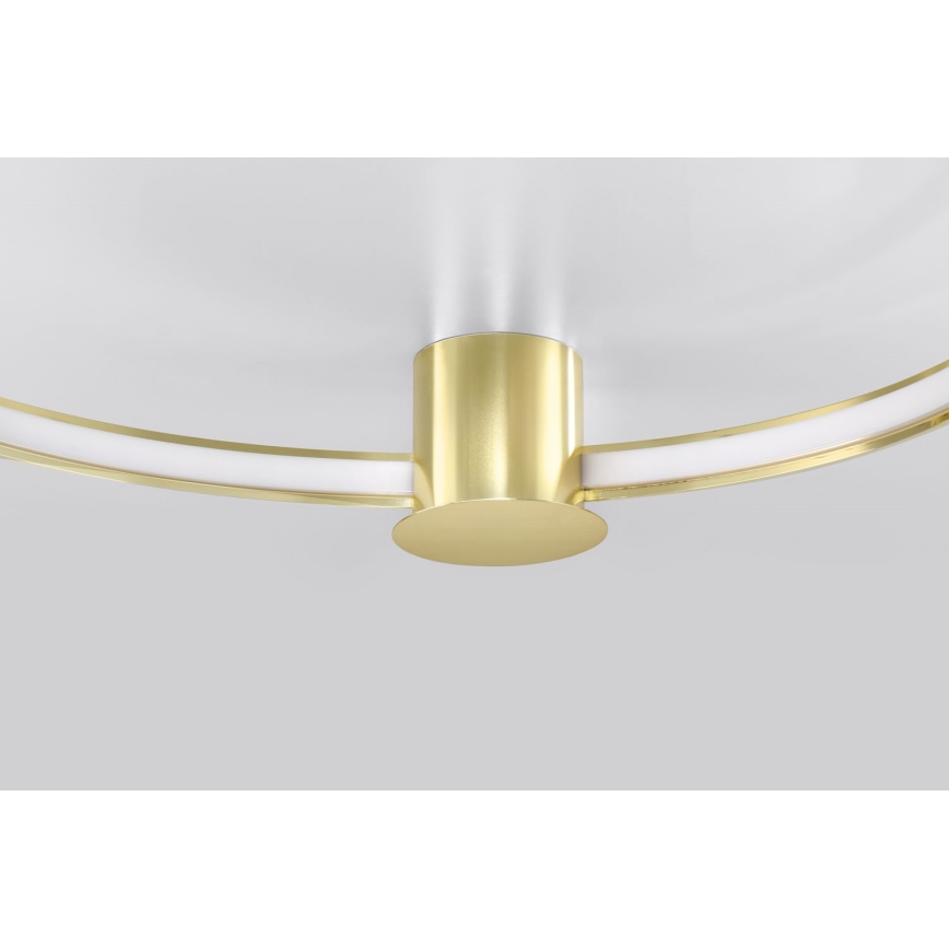 Thoro TH.252 - LED Плафониера RIO LED/50W/230V CRI 90 3000K Ø 78 cm златист