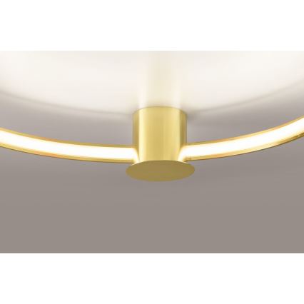 Thoro TH.252 - LED Плафониера RIO LED/50W/230V CRI 90 3000K Ø 78 cm златист