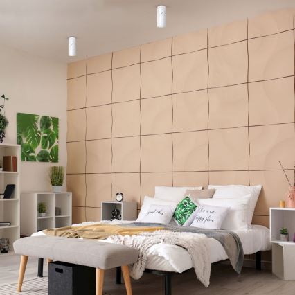 Точково осветително тяло JIM 1xE27/60W/230V