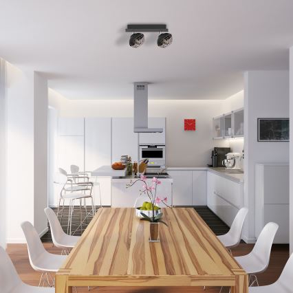 Точково осветително тяло LOGAN 2xE14/40W/230V