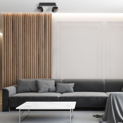 Точково осветително тяло LOGAN 2xE14/40W/230V