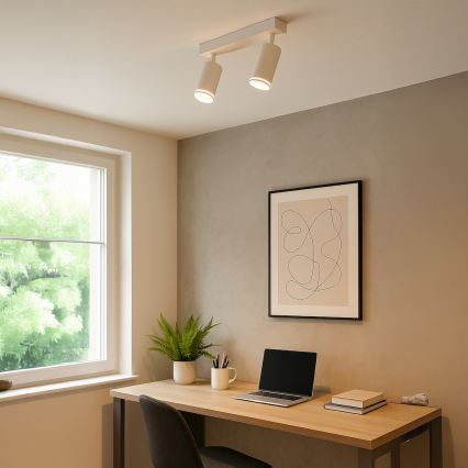 Точково осветително тяло PIPE 2xGU10/10W/230V бяло