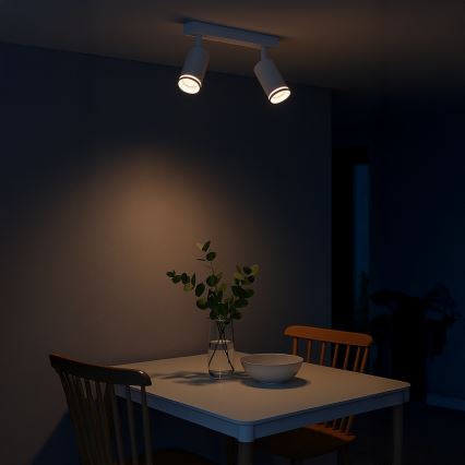 Точково осветително тяло PIPE 2xGU10/10W/230V бяло