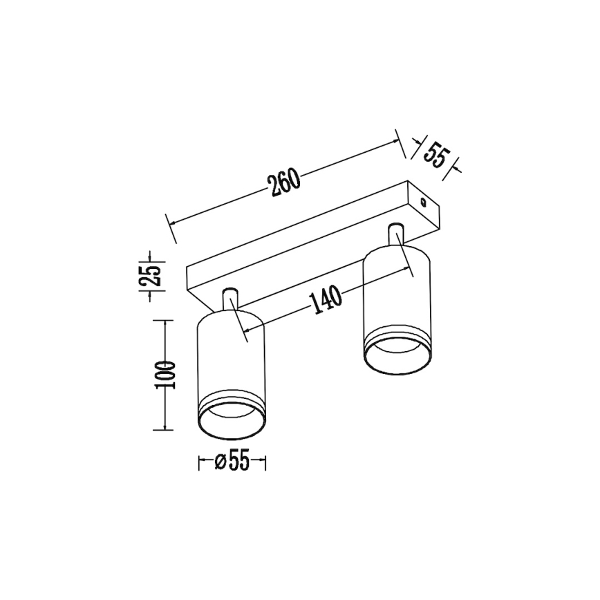 Точково осветително тяло PIPE 2xGU10/10W/230V бяло