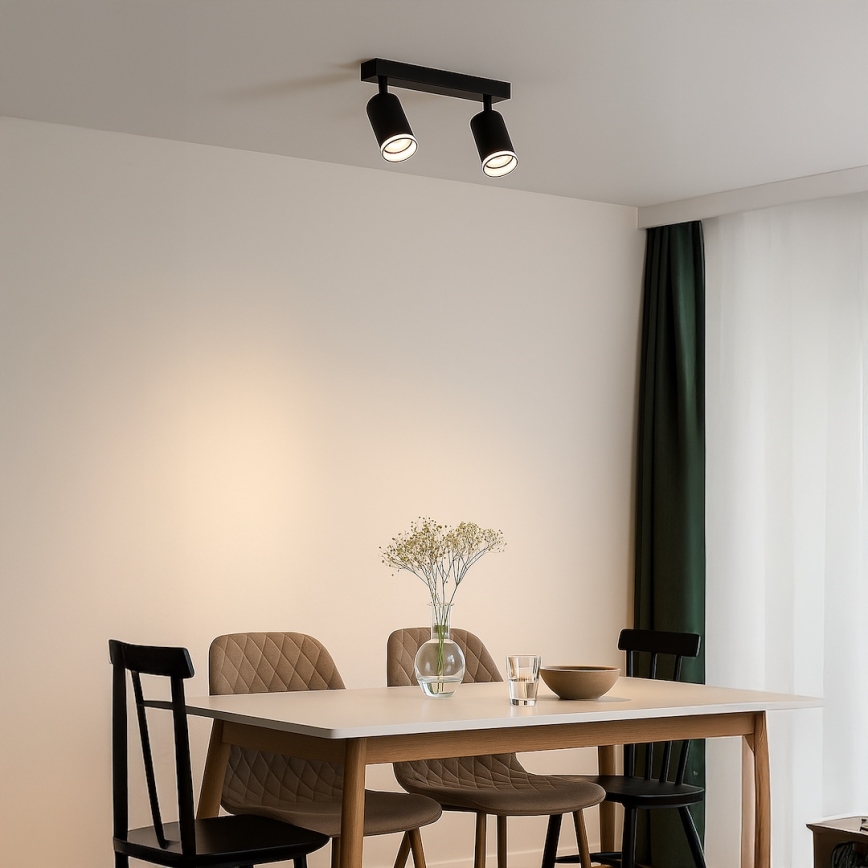 Точково осветително тяло PIPE 2xGU10/10W/230V, черно