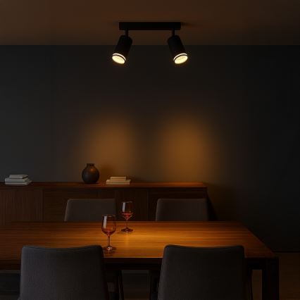 Точково осветително тяло PIPE 2xGU10/10W/230V, черно