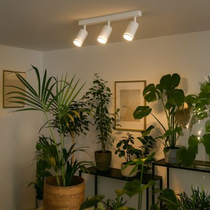 Точково осветително тяло PIPE 3xGU10/10W/230V бяло