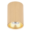Точково осветително тяло TUBE 1xGU10/15W/230V бежово