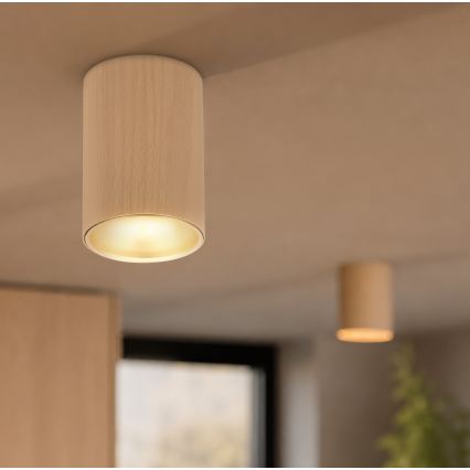 Точково осветително тяло TUBE 1xGU10/15W/230V бежово