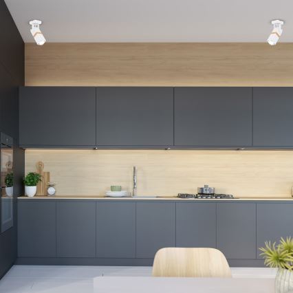 Точково осветително тяло VIDAR 1xGU10/25W/230V