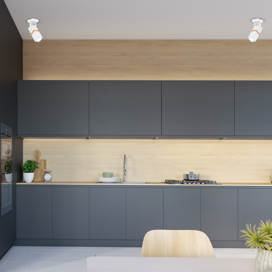 Точково осветително тяло VIDAR 1xGU10/25W/230V