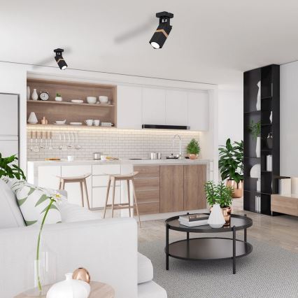 Точково осветително тяло VIDAR 1xGU10/25W/230V