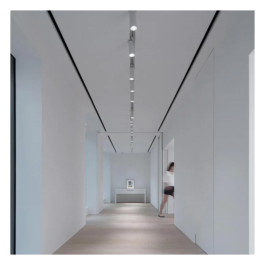 Точково осветително тяло за 1-фазна шинна система 1xGU10/10W/230V бяло