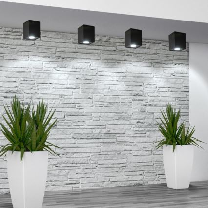 Точково осветление, луна HADAR Q1 1xGU10/10W/230V черна