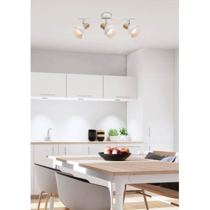 Точково осветление, луна PUERTO 3xE14/40W/230V