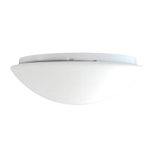 Top Light 5501/40/LED - LED Лампа за таван 1xLED/24W/230V