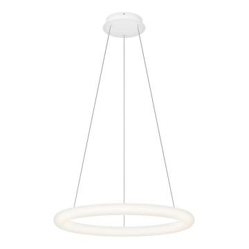 Top Light - Димируем LED полилей с кабелно окачване RINGO LED/40W/230V 3000-6500K бял + дистанционно управление