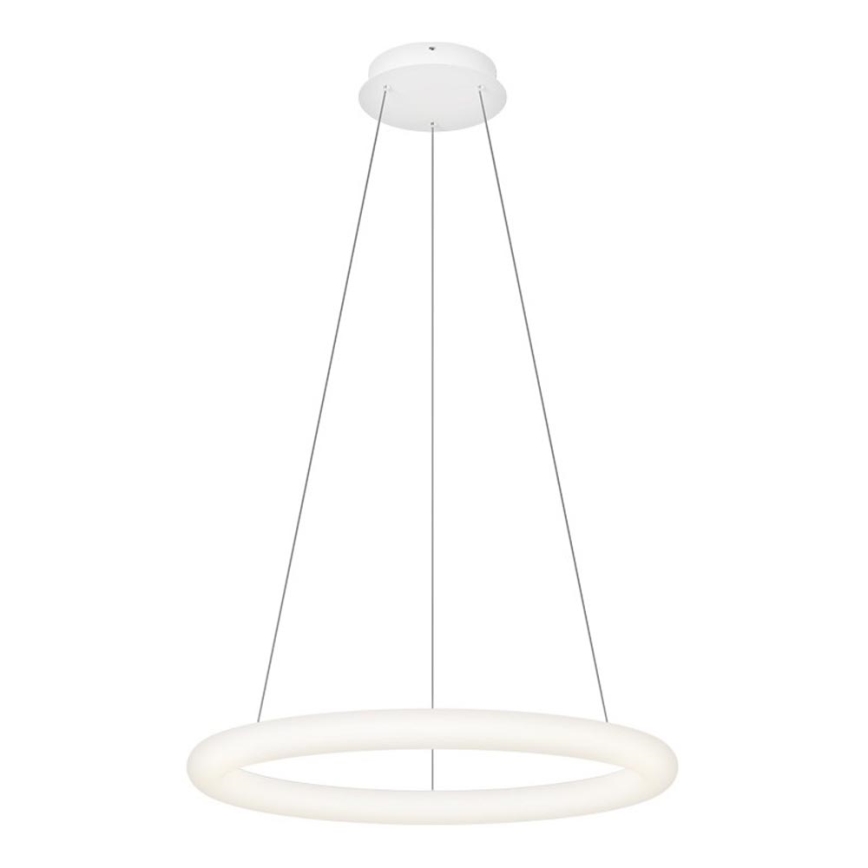 Top Light - Димируем LED полилей с кабелно окачване RINGO LED/40W/230V 3000-6500K бял + дистанционно управление