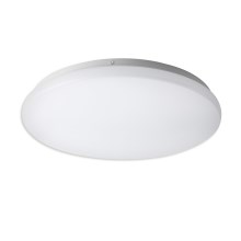 Top Light DUNAJ K 30 - LED Лампа за таван DUNAJ LED/18W/230V