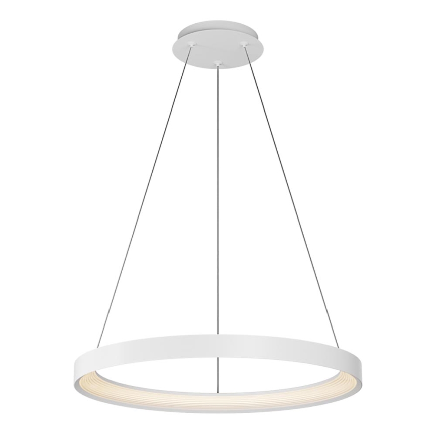 Top Light - LED Димируем пендел ORBIT LED/40W/230V 3000-6500K Ø 50 см бял + дистанционно управление