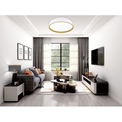 Top Light - LED Димируем плафон DEKOR LED/51W/230V Ø 50 см 3000-6500K + дистанционно управление