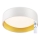 Top Light - LED димируема лампа за таван IVONA 40B RC LED/24W/230V + дистанционно управление бял