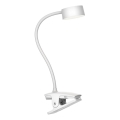 Top Light - LED Димируема сензорна настолна лампа с клип BELLA LED/4,8W/5V 3000-6500K бяла
