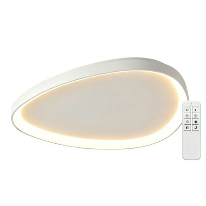 Top Light - LED димируемо таванно осветително тяло ECLIPSE LED/55W/230V 3000-6500K pr. 60 cm бяло + дистанционно управление