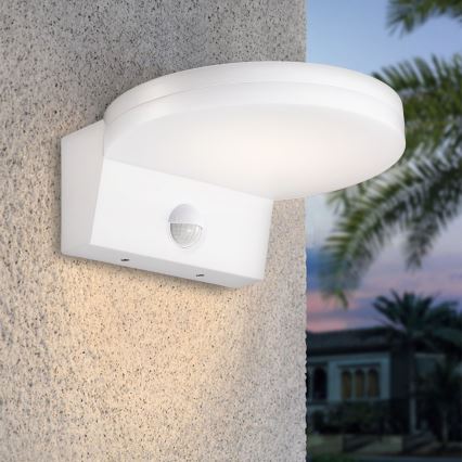 Top Light - LED Екстериорен аплик със сензор NOVARA LED/15W/230V IP65 бял