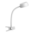 Top Light - LED Настолна лампа с щипка LED/4,5W/230V бяла