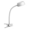 Top Light - LED Настолна лампа с щипка LED/4,5W/230V бяла