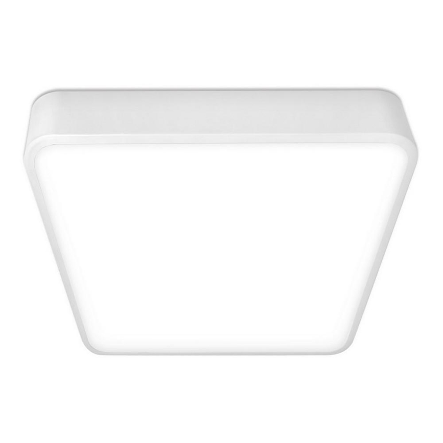 Top Light - LED Плафониера METAL LED/36W/230V ъглов бял