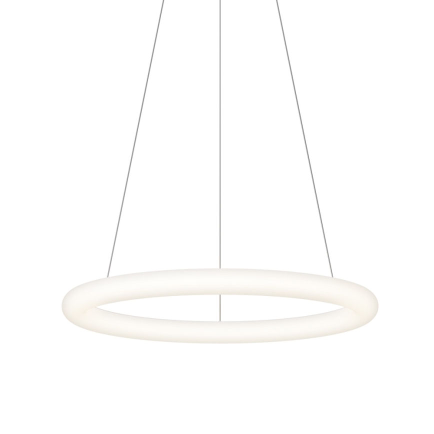 Top Light - Димируем LED полилей с кабелно окачване RINGO LED/40W/230V 3000-6500K бял + дистанционно управление