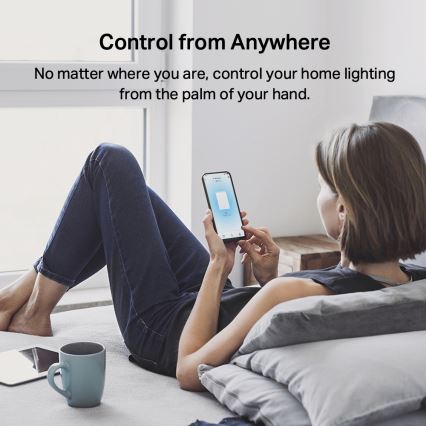 TP-Link - Умен двубутонен ключ за осветление 2xAAA Wi-Fi