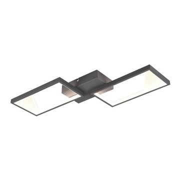 Trio - LED Димируем полилей за повърхностен монтаж CAFU 2xLED/7W/230V