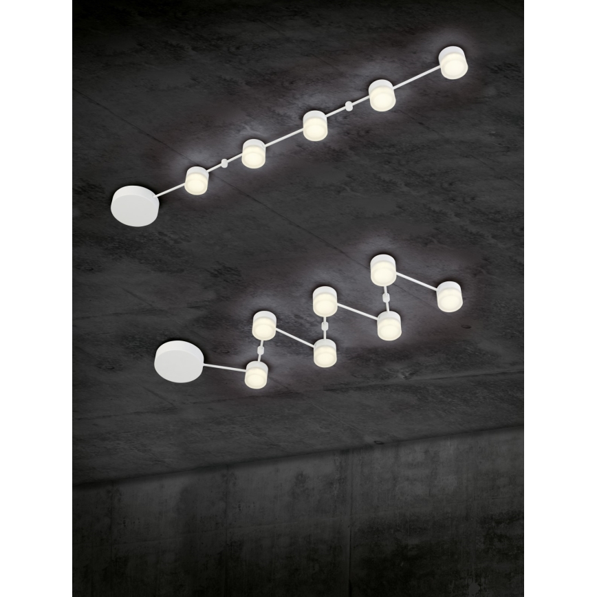 Trio - LED Димируема плафониера NASHVILLE 5xLED/3W/230V