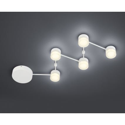 Trio - LED Димируема плафониера NASHVILLE 5xLED/3W/230V