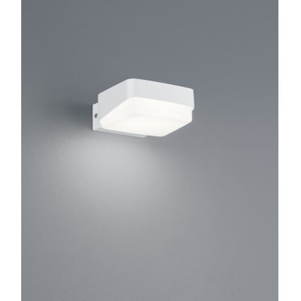 Trio - LED Екстериорен аплик JUBA LED/10W/230V IP65