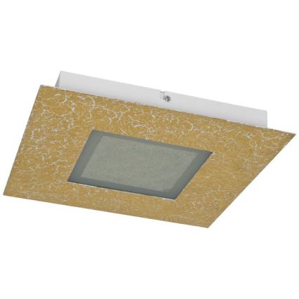 Trio - LED Лампа за таван CHIROS LED/12W/230V + LED/3,5W