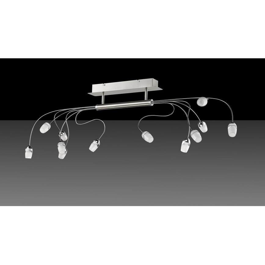 Trio - LED Полилей за повърхностен монтаж SARA 12xLED/2W/230V
