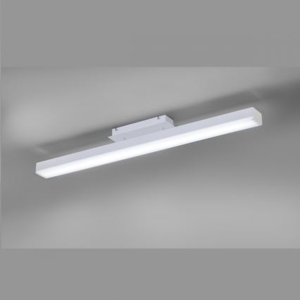 Trio - LED RGBW Димируем полилей за повърхностен монтаж LIVARO LED/20W/230V 3000-5000K + дистанционно