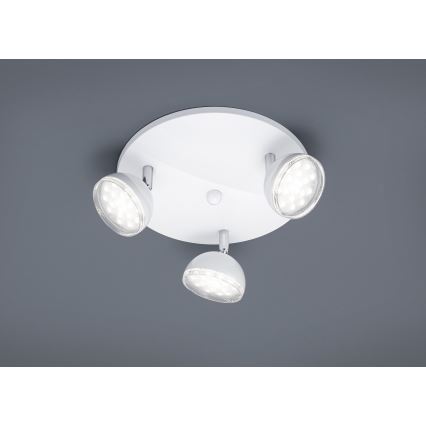 Trio - LED Спот BOLOU 3xLED/3,8W/230V