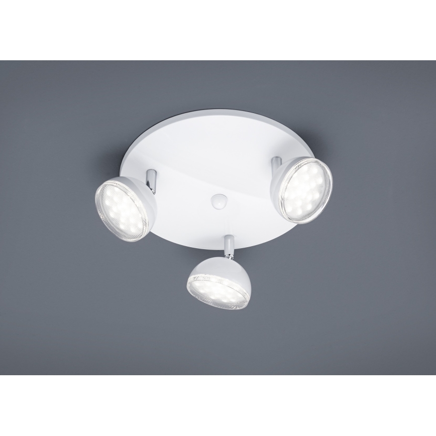 Trio - LED Спот BOLOU 3xLED/3,8W/230V