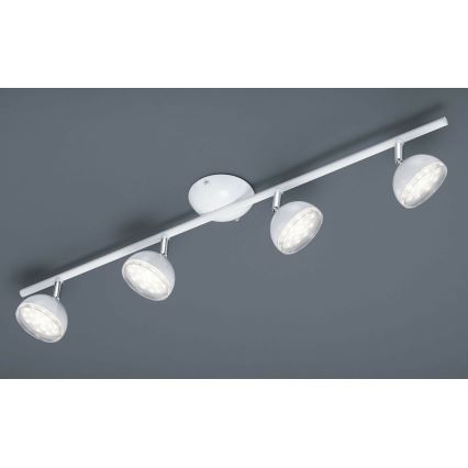 Trio - LED Спот BOLOU 4xLED/3,8W/230V