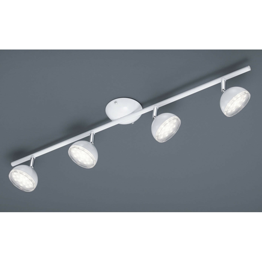 Trio - LED Спот BOLOU 4xLED/3,8W/230V