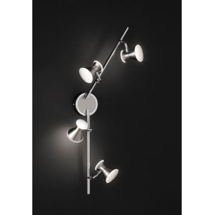 Trio - LED Спот DUKE 4xLED/4,3W/230V
