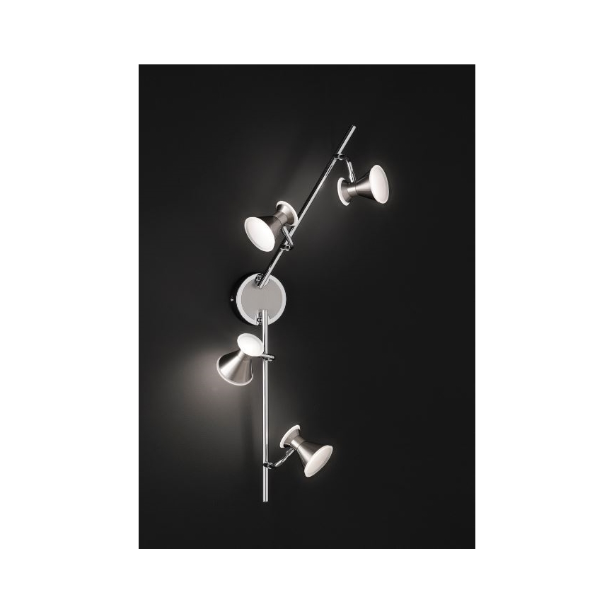 Trio - LED Спот DUKE 4xLED/4,3W/230V