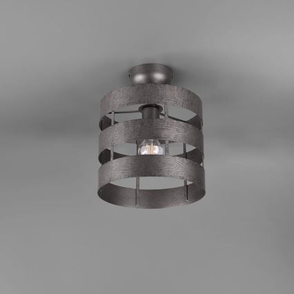 Trio - Полилей за вграждане DUNCAN 1xE27/40W/230V