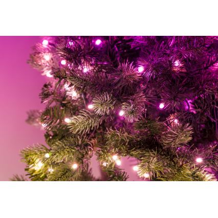 Twinkly - LED RGB Димируем Коледен венец 50xLED Ø 60 см Wi-Fi